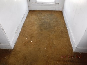 Black mold remediation Cleveland Ohio 