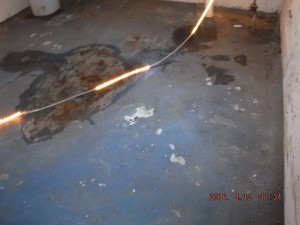 Black mold remediation Cleveland Ohio 