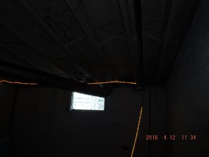 Black mold remediation Cleveland Ohio 