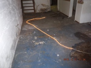 Black mold in basement Cleveland Ohio 