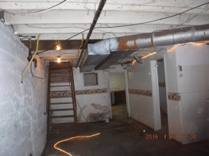Black mold in basement Cleveland Ohio 