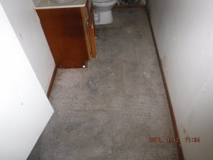 Black mold in basement Cleveland Ohio 