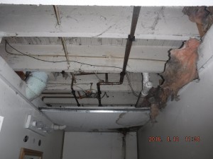 Black mold in basement Cleveland Ohio 