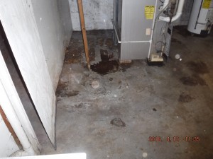Black mold in basement Cleveland Ohio 
