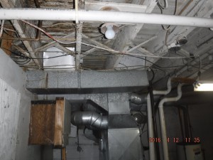 Black mold remediation Cleveland Ohio 