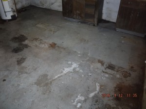 Black mold remediation Cleveland Ohio 