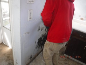 Black mold remediation Cleveland Ohio 