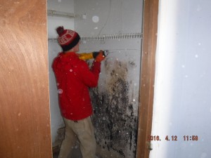 Black mold remediation Cleveland Ohio 