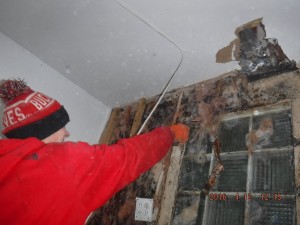 Black mold remediation Cleveland Ohio 