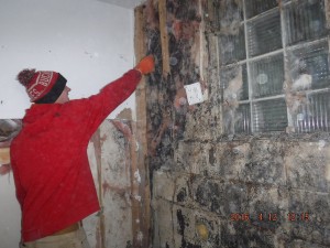 Black mold remediation Cleveland Ohio 