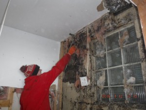 Black mold remediation Cleveland Ohio 