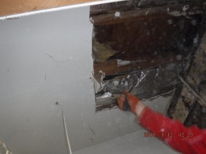Black mold in house Columbus Ohio 