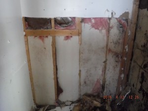 Black mold in house Columbus Ohio 