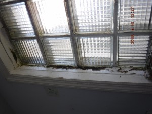 Black mold remediation Columbus Ohio 