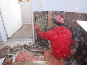 Black mold remediation Columbus Ohio 