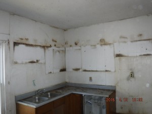 Black mold in house Columbus Ohio  