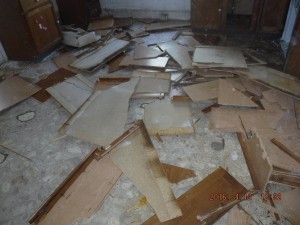 Black mold remediation Columbus Ohio 