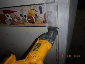 Black mold remediation Columbus Ohio 