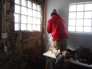 Black mold remediation Columbus Ohio  