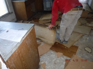 Black mold remediation Columbus Ohio 