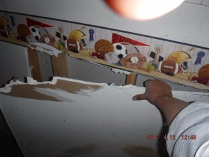 Black mold remediation Columbus Ohio 