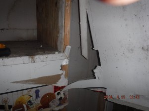 Black mold remediation Columbus Ohio 