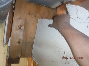 Black mold remediation Columbus Ohio 