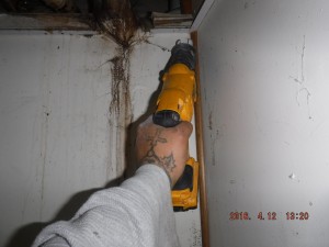 Black mold remediation Columbus Ohio 