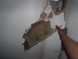 Black mold remediation Columbus Ohio 