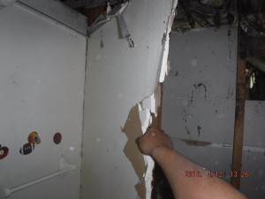 Black mold remediation Columbus Ohio   