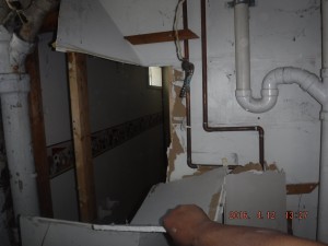 Black mold remediation Columbus Ohio 