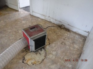 Black mold remediation Columbus Ohio  