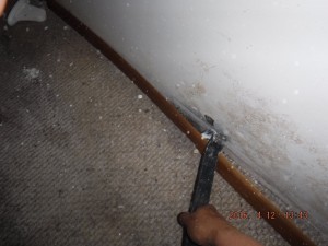 Black mold remediation Columbus Ohio  