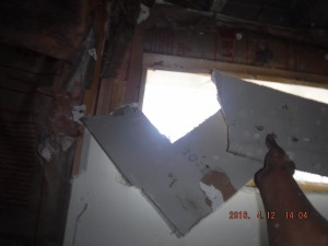 Black mold remediation Columbus Ohio  