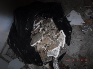 Black mold remediation Cincinnati Ohio 