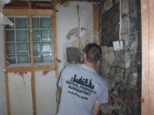 Black mold remediation Cincinnati Ohio 