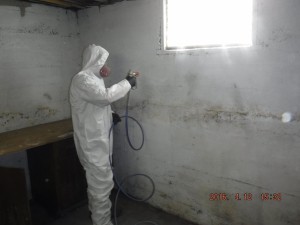 Black mold removal Cincinnati Ohio 