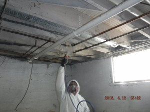 Black mold removal Cincinnati Ohio 