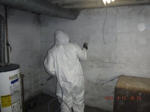 Black mold removal Cincinnati Ohio 