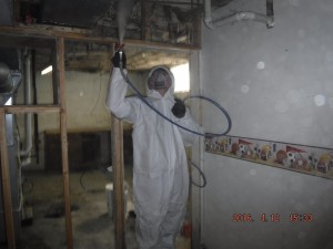 Black mold removal Cincinnati Ohio 