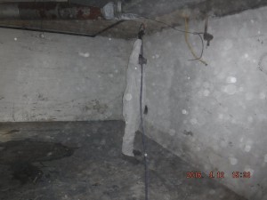 Black mold removal Cincinnati Ohio 