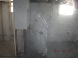 Black mold remediation Cincinnati Ohio 