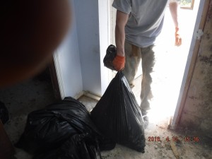 Black mold remediation Cincinnati Ohio 