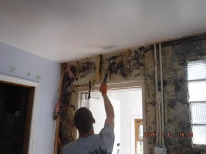 Black mold remediation Cincinnati Ohio 