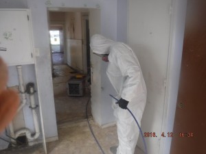 Black mold removal Cincinnati Ohio 