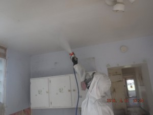 Black mold removal Cincinnati Ohio 