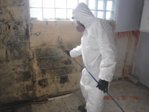 Black mold removal Cincinnati Ohio 