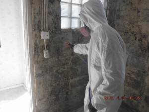 Black mold removal Cincinnati Ohio 