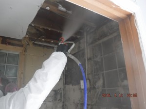 Black mold removal Cincinnati Ohio 