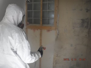 Black mold removal Cincinnati Ohio 